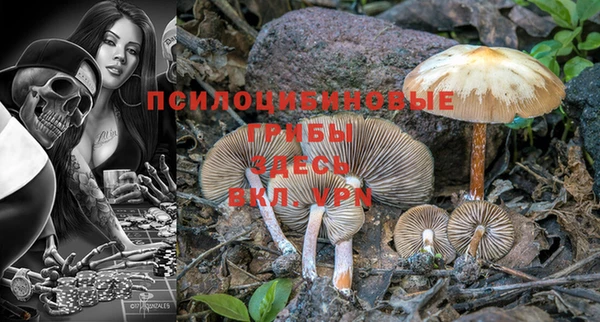 jwh Новозыбков