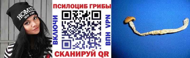 Купить закладки  Углегорск  Галлюциногенные грибы GOLDEN TEACHER 